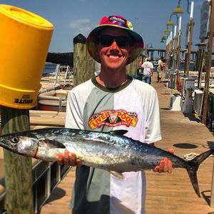 Meet your Posher, Ross